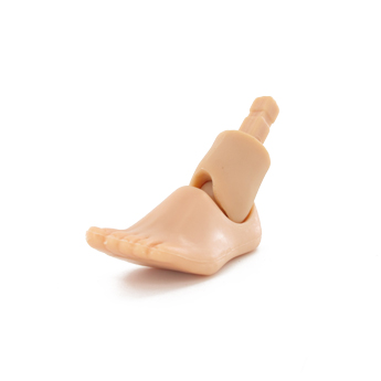 Pied gauche femme européenne (Petit talon)