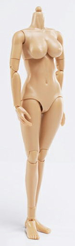 Corps asiatique Femme (Grosse poitrine)