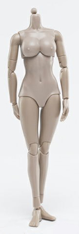 Corps européen Femme (Moyenne poitrine)