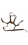 Sangles de maintien marron aspect cuir pour équipement de laboratoire