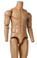 Corps homme européen