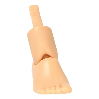 Pied droit femme européenne (Petit talon)